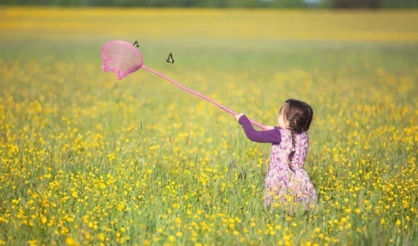 chasing-butterflies-e1468801563474